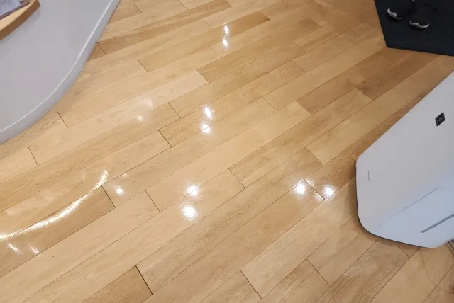 東京都昭島市のS消化器内科のワックス後の院内